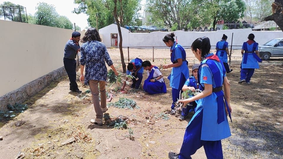 इको क्लब नेशनल ग्रीन कोर दयानन्द कॉलेज ने किया वृक्षारोपण और लगाए परिंडे